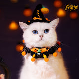 Cat Halloween Dress Up