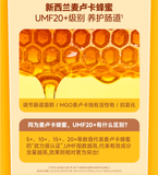 THE CAT'S TRAVEL Cat's Travelogue Bear Pudding Full Price Meal Box 40g*6