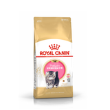 royalcanin皇家幼猫粮合计