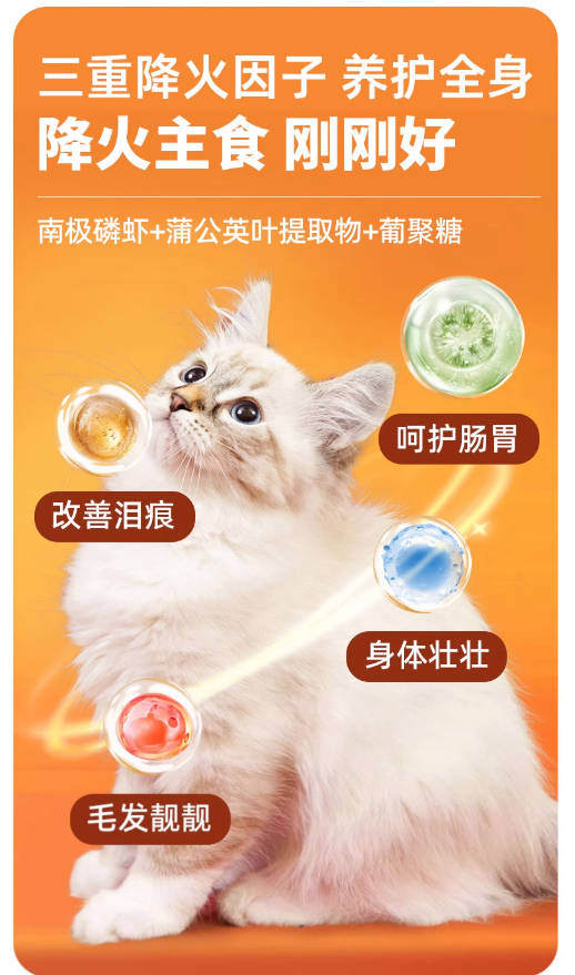 都乐时掰掰火罐头全价猫用主食餐盒36g*8罐