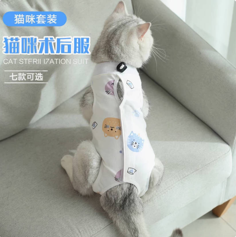 猫咪小熊绝育服