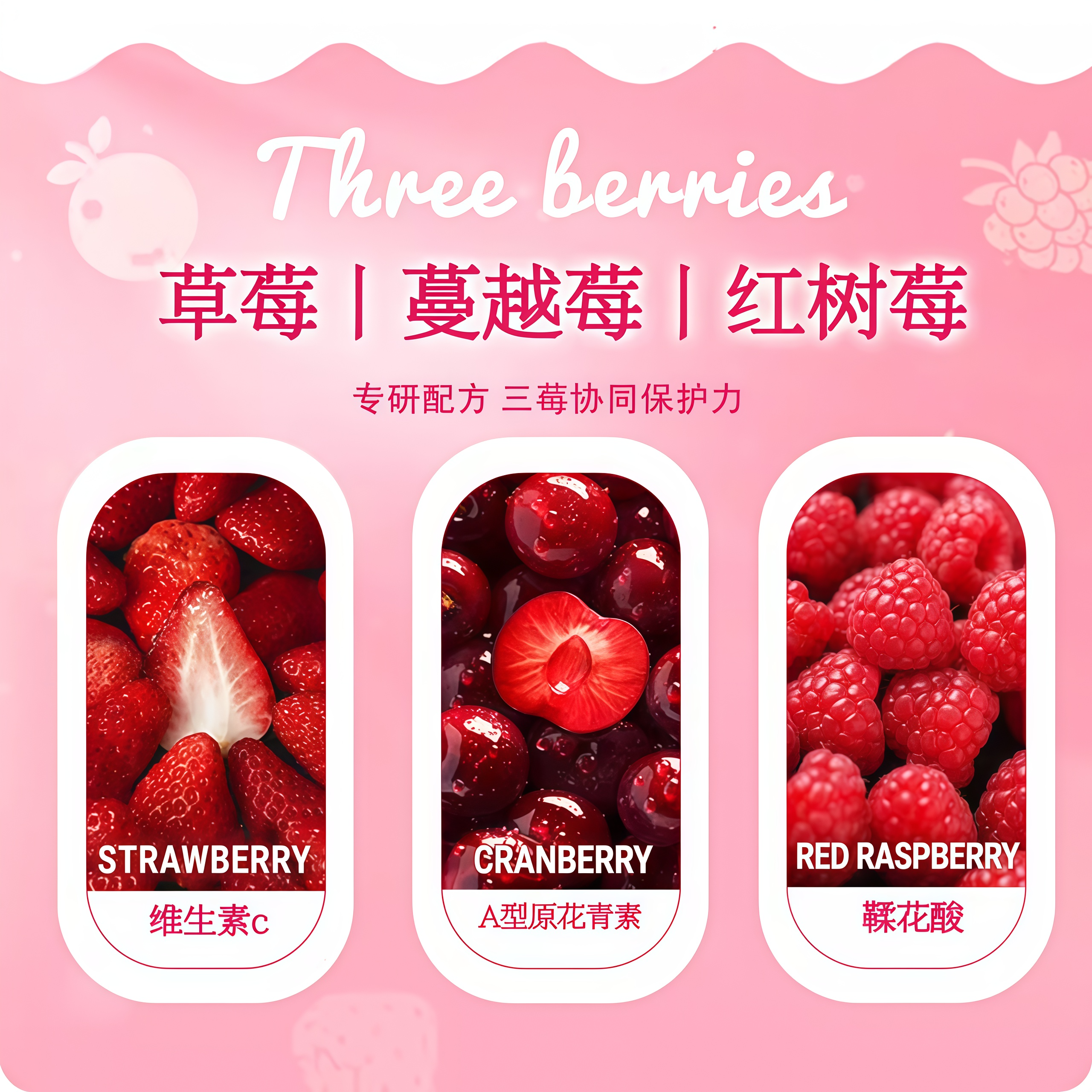 妮吖美芯莓果派全价主食餐盒55g*6