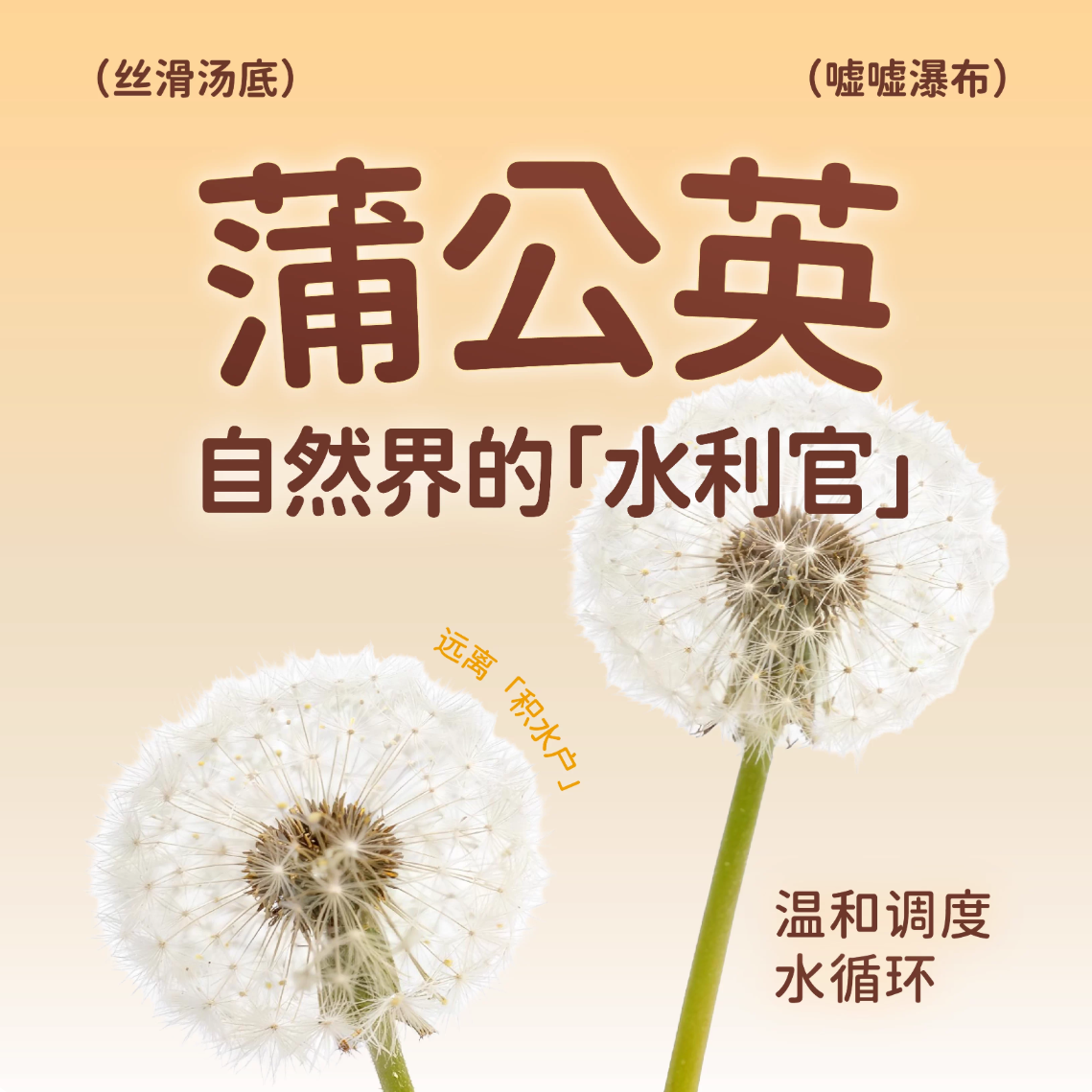 尾巴生活瀑布挞挞猫咪全价主食罐80g*4