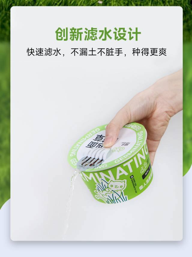 懒人泡面猫草