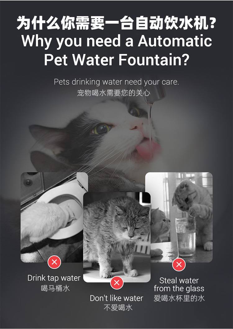 自动饮水机2L&过滤棉4个装