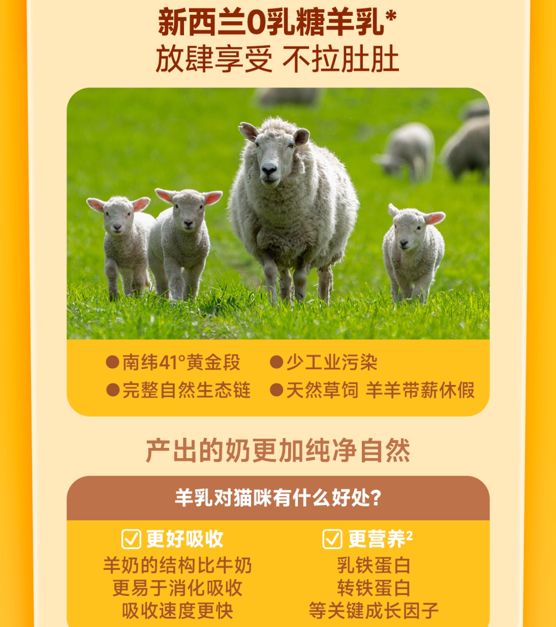 THE CAT'S TRAVEL Cat's Travelogue Bear Pudding Full Price Meal Box 40g*6