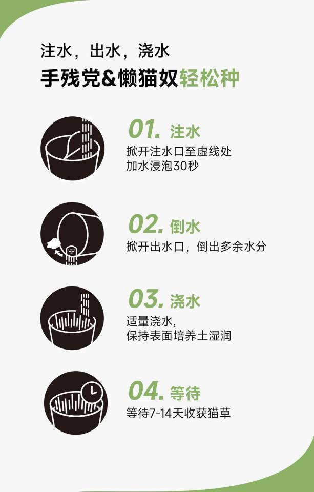 懒人泡面猫草